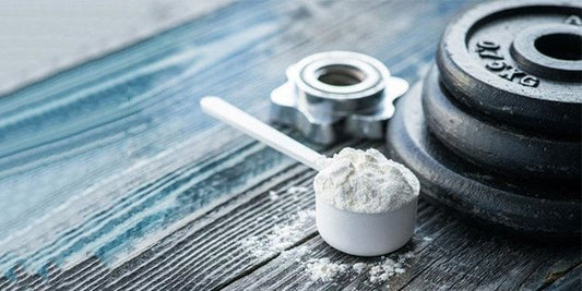 What Is Creatine?