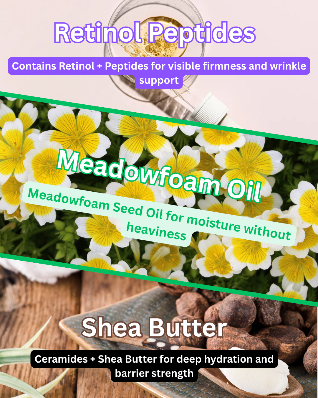 Anti Aging Moisturizer — Retinol & Peptide Formula to Firm, Smooth & Restore Mature Skin | Elemental Edge