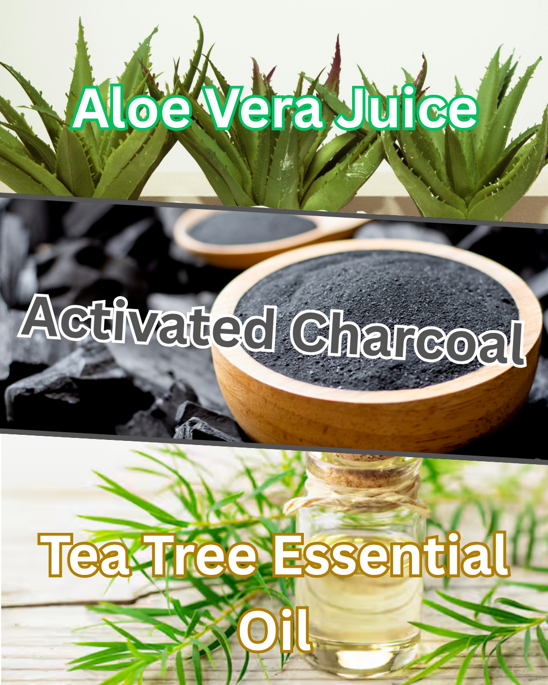 Charcoal Facial Cleanser – Purify, Refresh & Balance | Elemental Edge