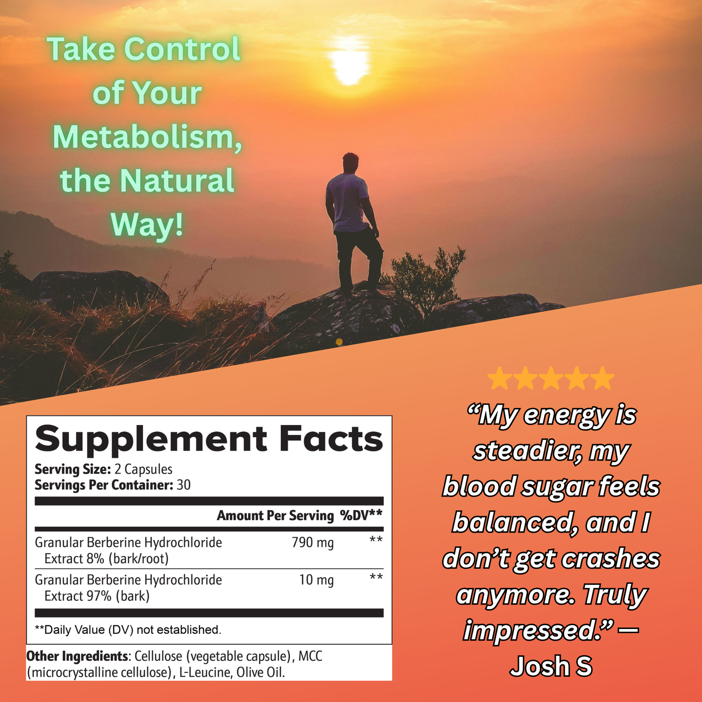 Berberine HCL – Blood Sugar, Heart & Metabolism Support | Elemental Edge